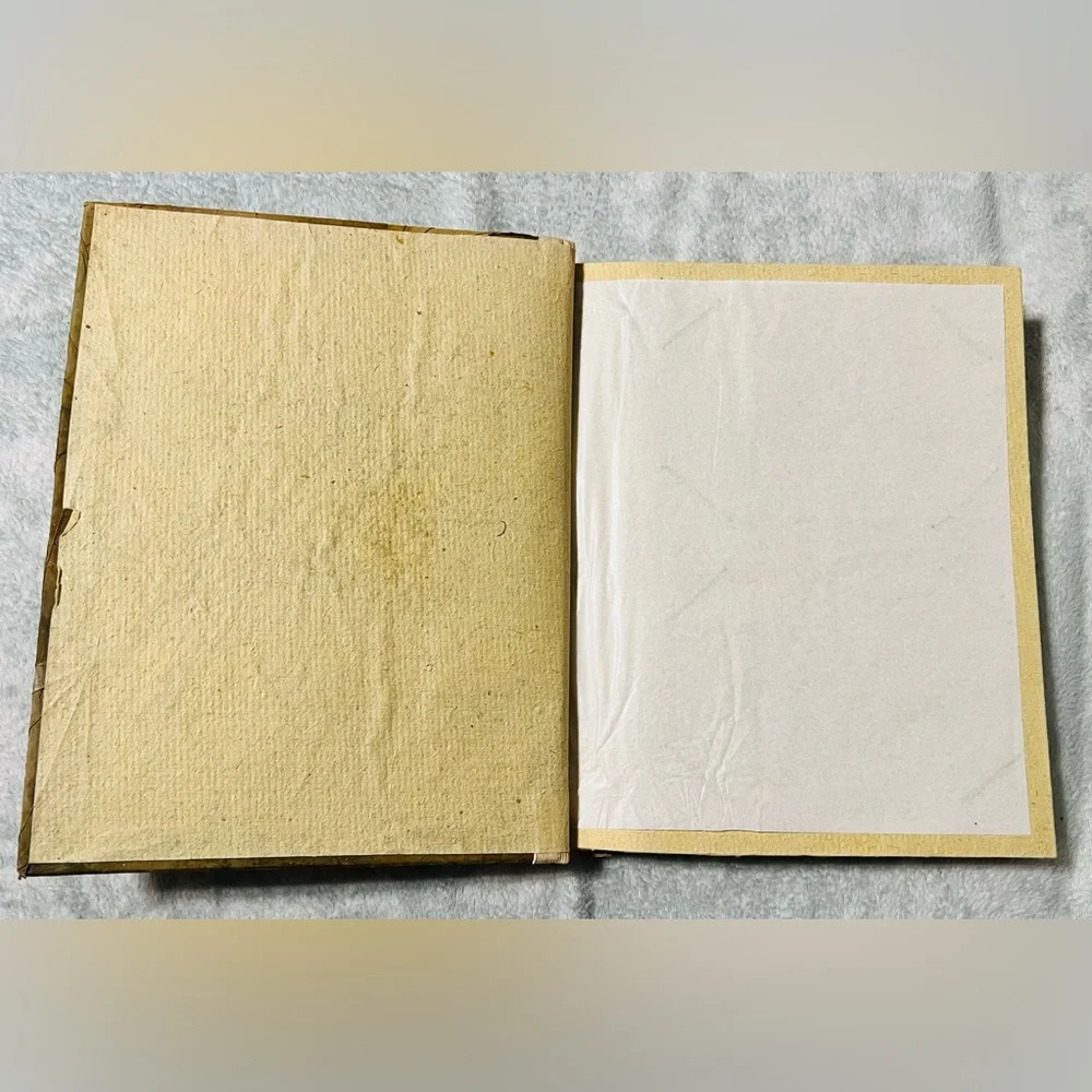 ❌NEW Koala Australia Photo Album Natural Leaf Twig Rope Bind Memory Scrap Book